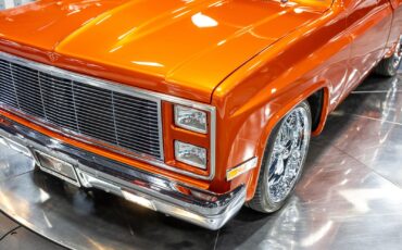 Chevrolet-CK-Pickup-1500-1986-Pickup-Truck-19