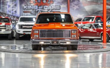 Chevrolet-CK-Pickup-1500-1986-Pickup-Truck-2