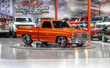 Chevrolet-CK-Pickup-1500-1986-Pickup-Truck