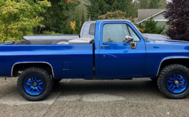 Chevrolet-CK-Pickup-1500-1986-Standard-Cab-Pickup-1