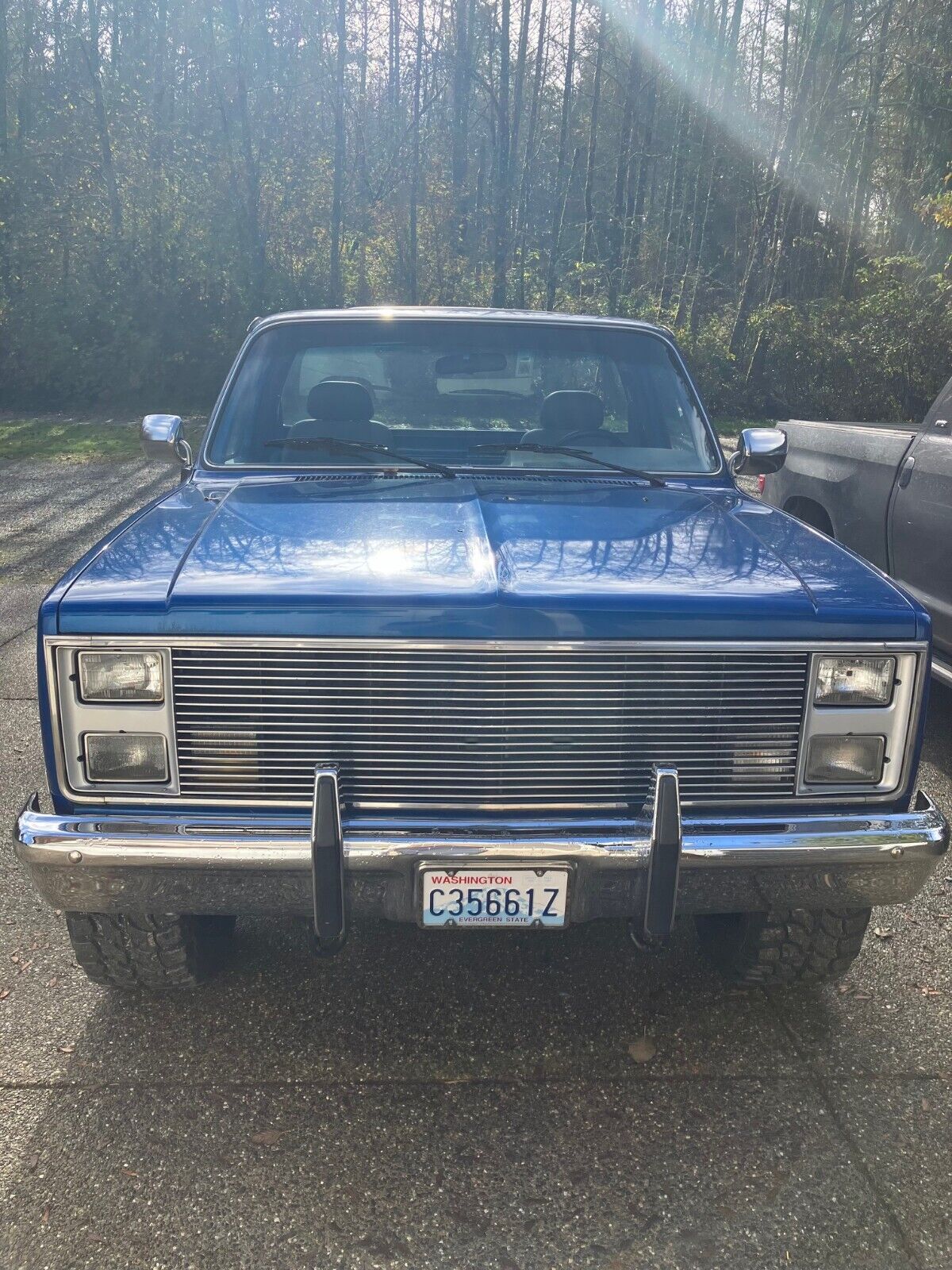 Chevrolet-CK-Pickup-1500-1986-Standard-Cab-Pickup-5