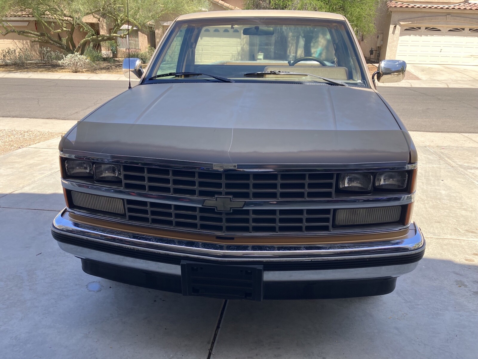 Chevrolet-CK-Pickup-1500-1989-1