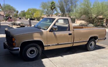 Chevrolet-CK-Pickup-1500-1989
