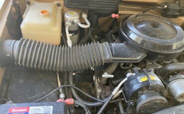 Chevrolet-CK-Pickup-1500-1989-5
