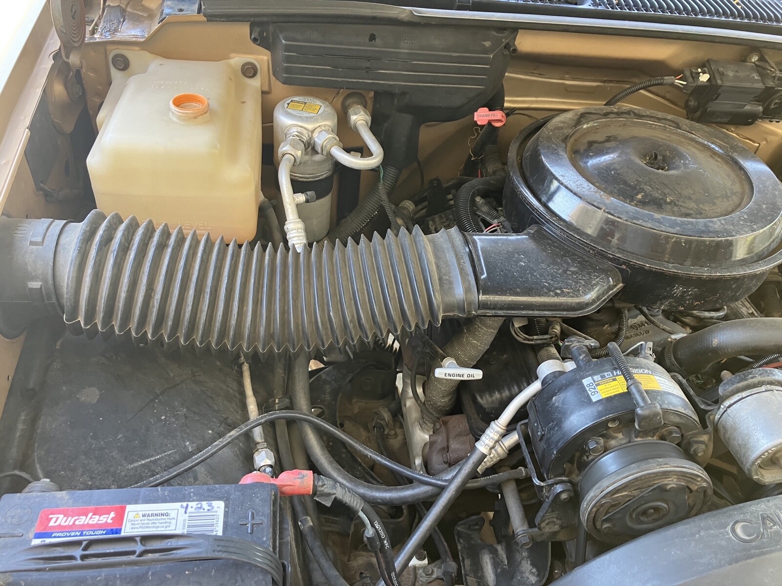 Chevrolet-CK-Pickup-1500-1989-5