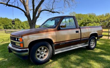 Chevrolet-CK-Pickup-1500-1989-Standard-Cab-Pickup-1
