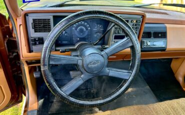 Chevrolet-CK-Pickup-1500-1989-Standard-Cab-Pickup-11