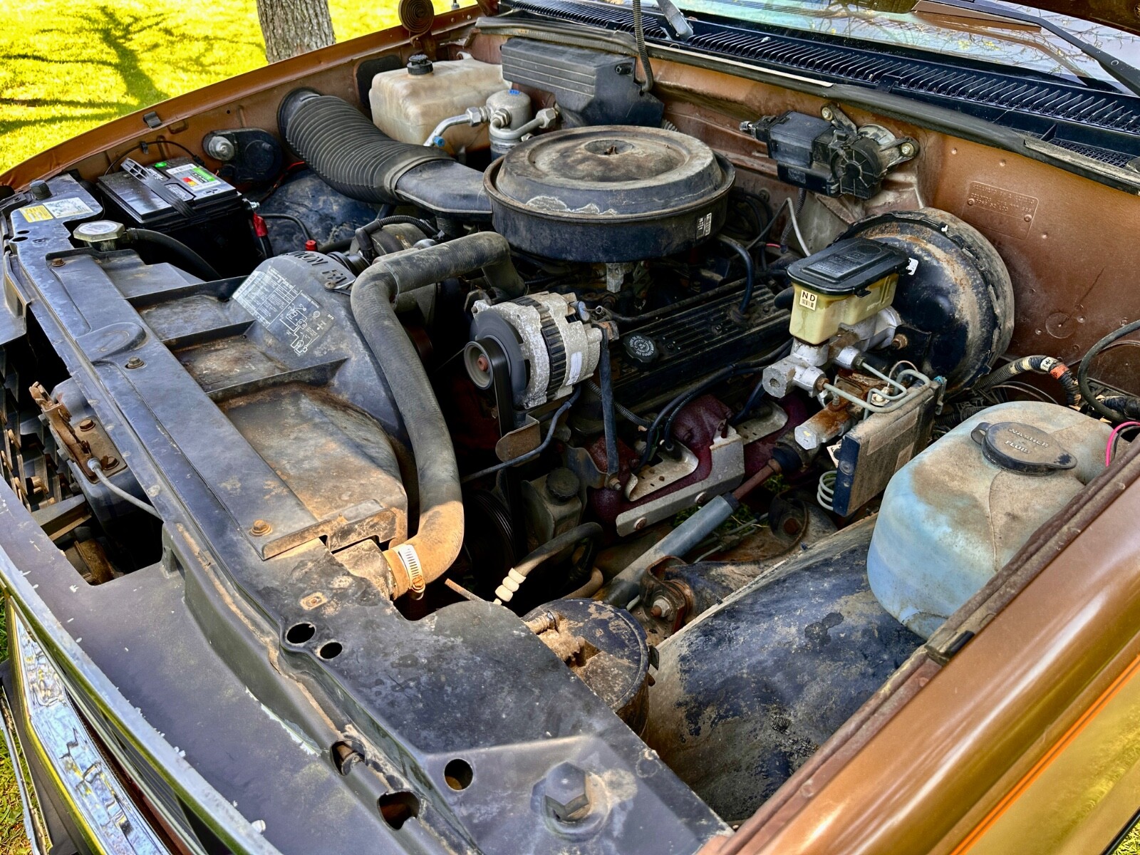Chevrolet-CK-Pickup-1500-1989-Standard-Cab-Pickup-17