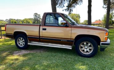 Chevrolet-CK-Pickup-1500-1989-Standard-Cab-Pickup-4