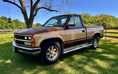 Chevrolet C/K Pickup 1500 1989 Standard Cab Pickup
