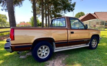 Chevrolet-CK-Pickup-1500-1989-Standard-Cab-Pickup-5