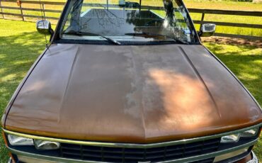 Chevrolet-CK-Pickup-1500-1989-Standard-Cab-Pickup-6