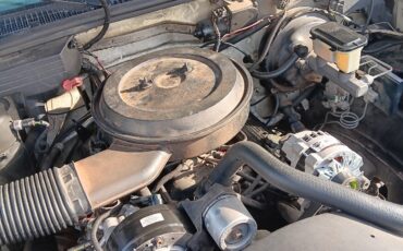 Chevrolet-CK-Pickup-1500-1994-10