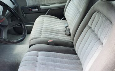 Chevrolet-CK-Pickup-1500-1994-Ext-Cab-15