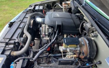 Chevrolet-CK-Pickup-1500-1994-Ext-Cab-16
