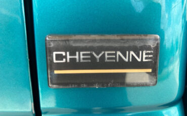 Chevrolet-CK-Pickup-1500-1995-Pickup-Truck-19