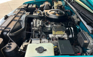 Chevrolet-CK-Pickup-1500-1995-Pickup-Truck-31