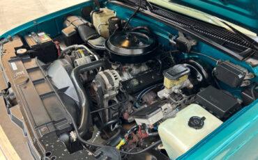 Chevrolet-CK-Pickup-1500-1995-Pickup-Truck-32