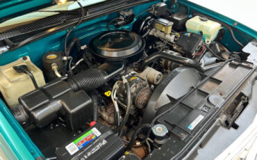 Chevrolet-CK-Pickup-1500-1995-Pickup-Truck-34