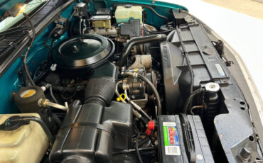 Chevrolet-CK-Pickup-1500-1995-Pickup-Truck-35