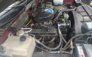Chevrolet-CK-Pickup-2500-1989-4X4-14