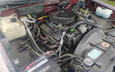 Chevrolet-CK-Pickup-2500-1989-4X4-15