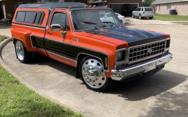 Chevrolet-CK-Pickup-3500-1979-1