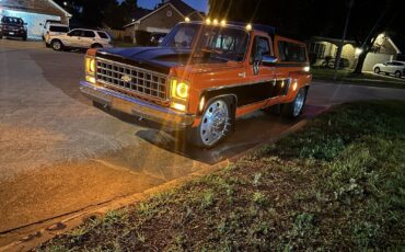 Chevrolet-CK-Pickup-3500-1979-4