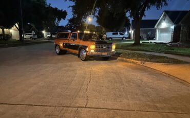 Chevrolet-CK-Pickup-3500-1979-5