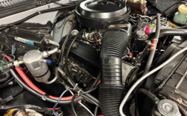 Chevrolet-CK-Pickup-3500-1984-Crew-Cab-Pickup-14