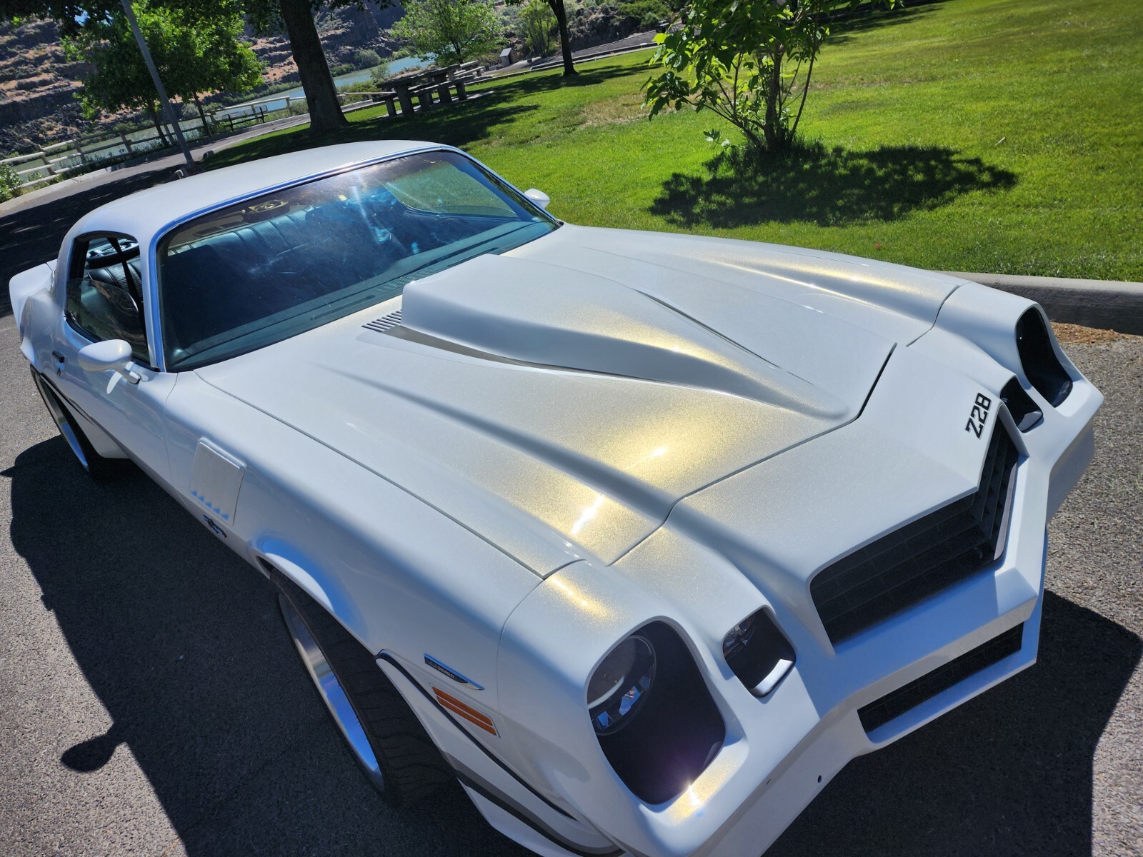 Chevrolet-Camaro-1977-Coupe-17