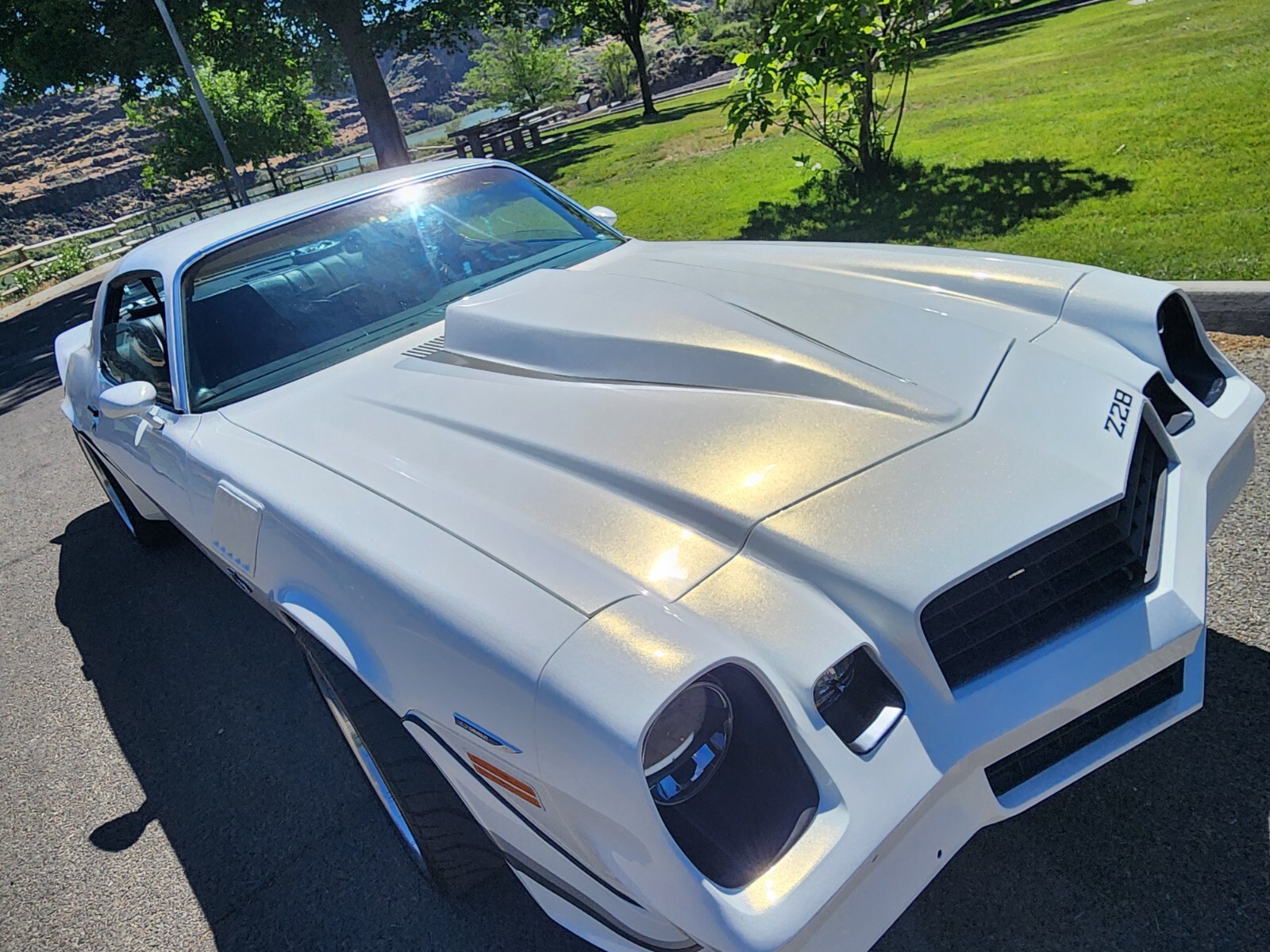 Chevrolet-Camaro-1977-Coupe-29