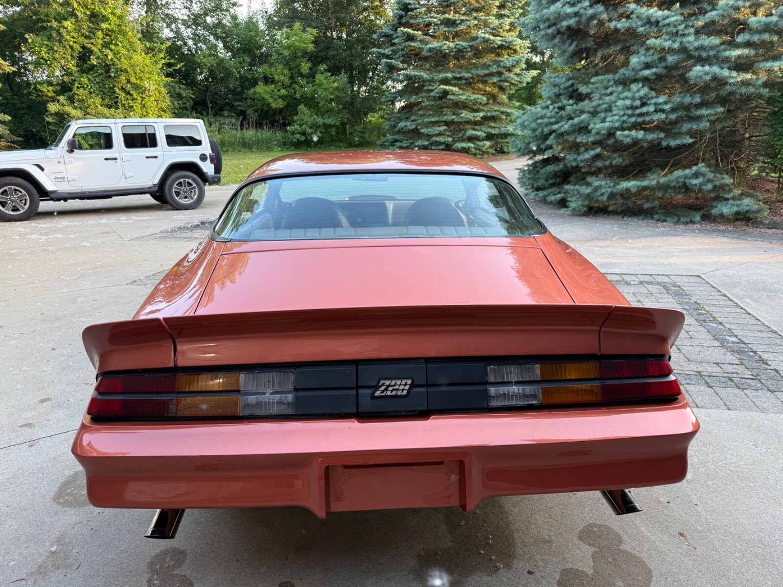 Chevrolet-Camaro-1980-Coupe-6
