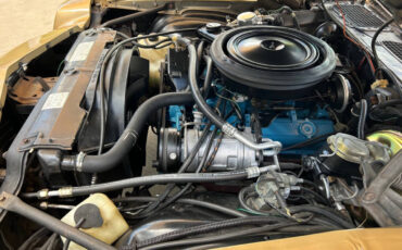 Chevrolet-Camaro-1980-Hatchback-25