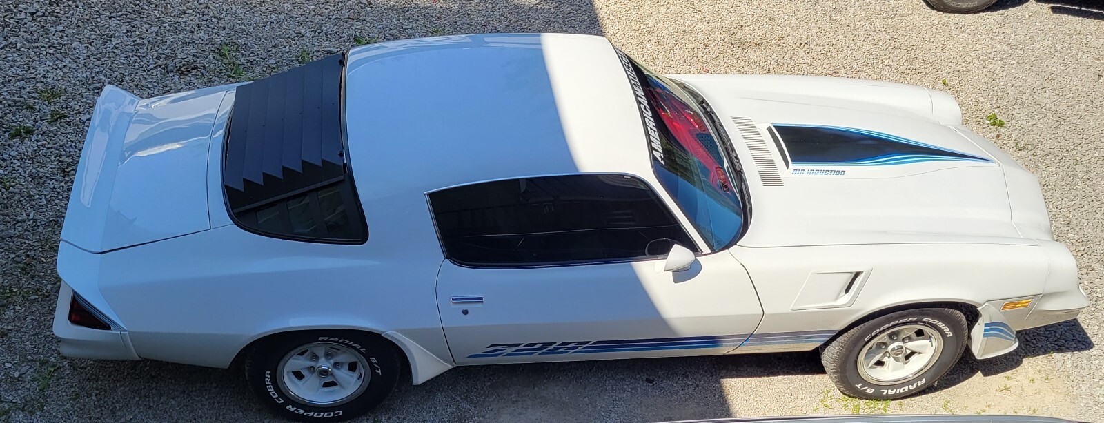 Chevrolet-Camaro-1981-10