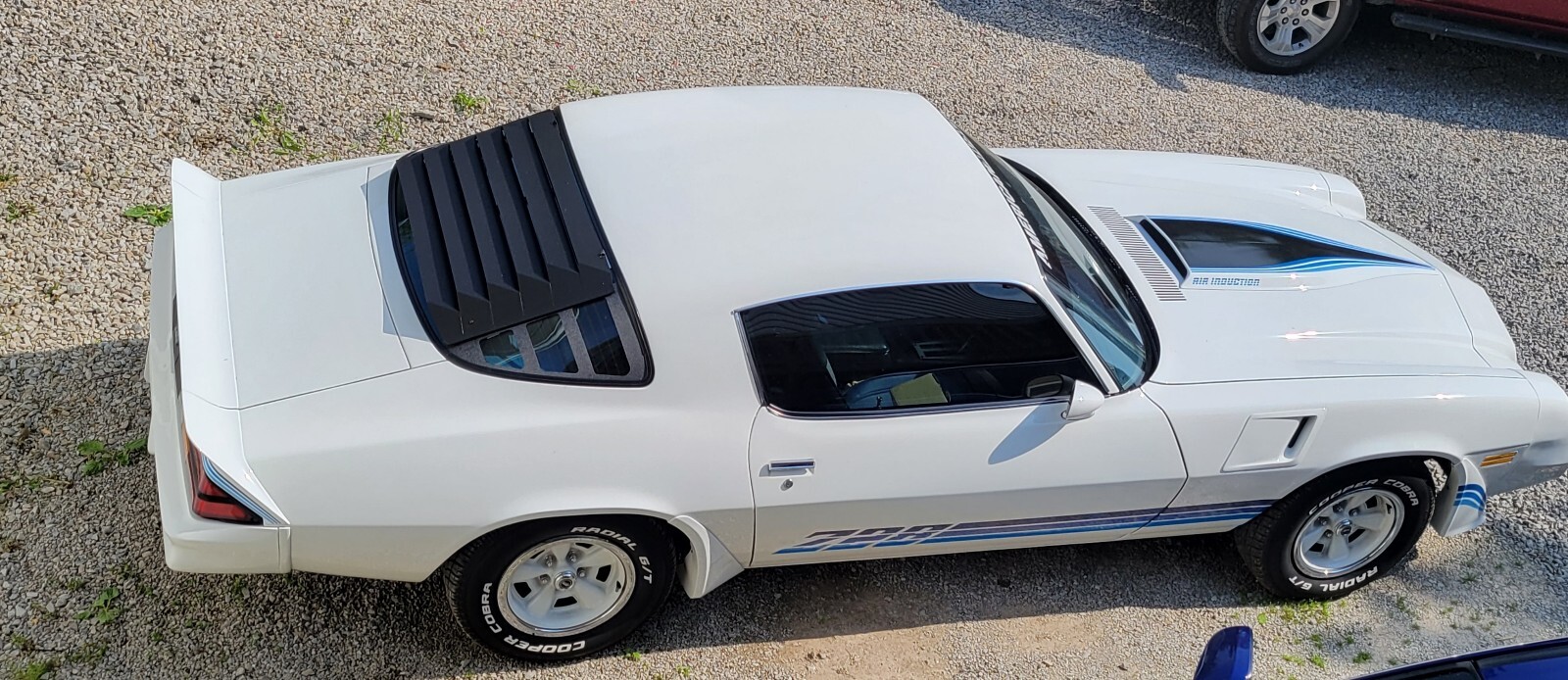 Chevrolet-Camaro-1981-11