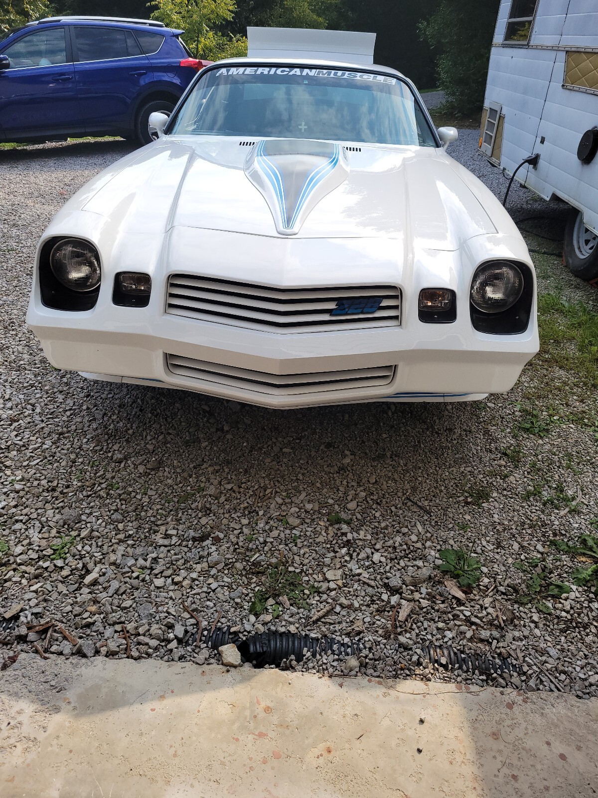 Chevrolet-Camaro-1981-12