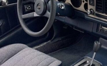 Chevrolet-Camaro-1981-16