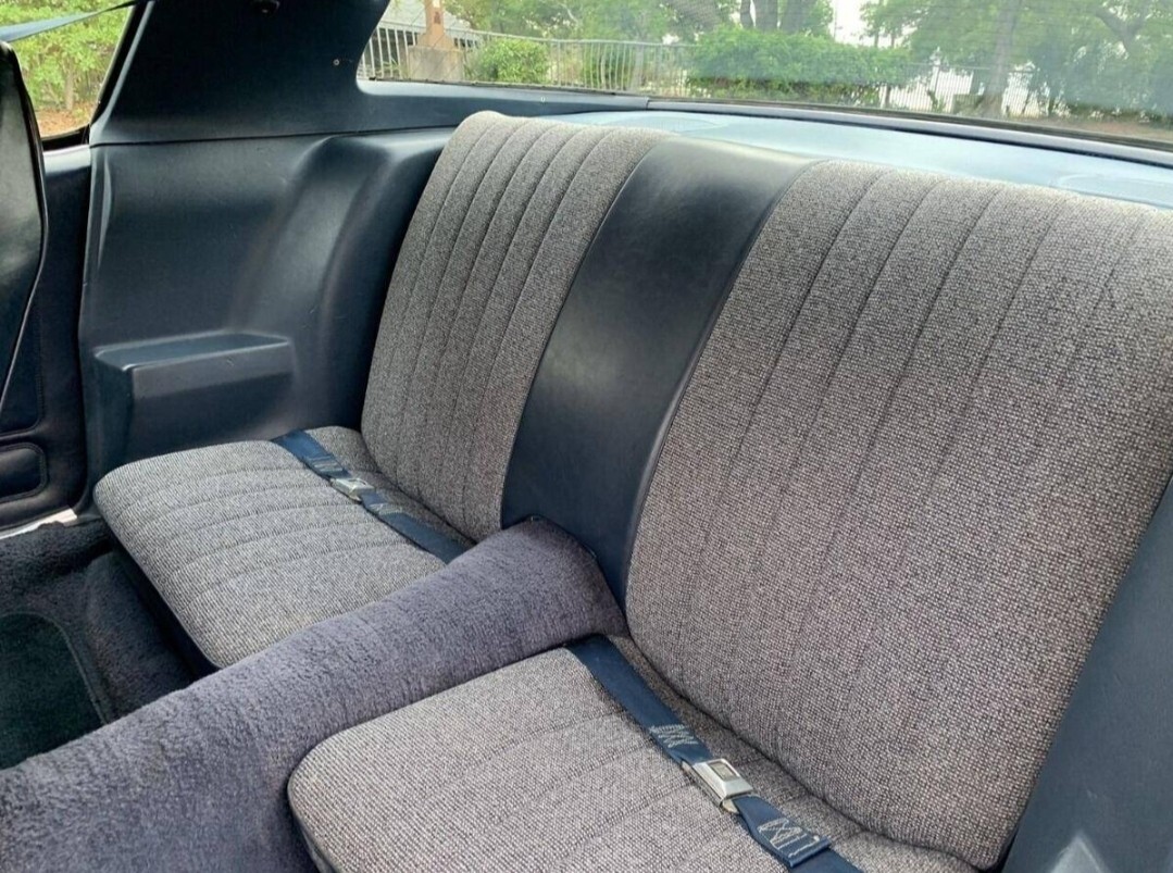Chevrolet-Camaro-1981-18