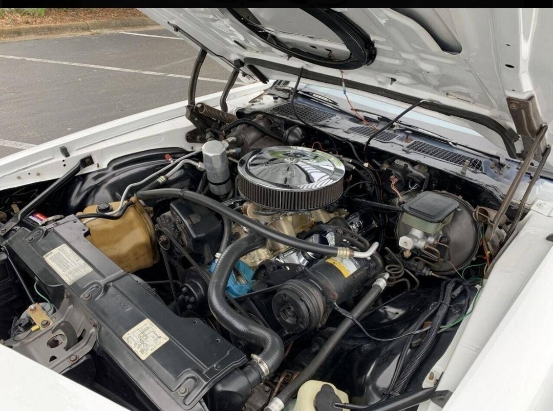 Chevrolet-Camaro-1981-29
