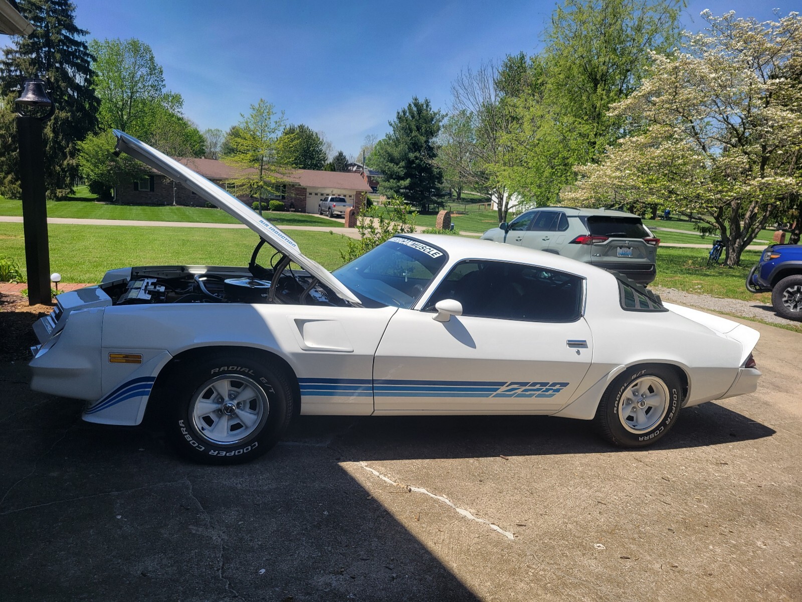 Chevrolet-Camaro-1981-3