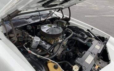 Chevrolet-Camaro-1981-30