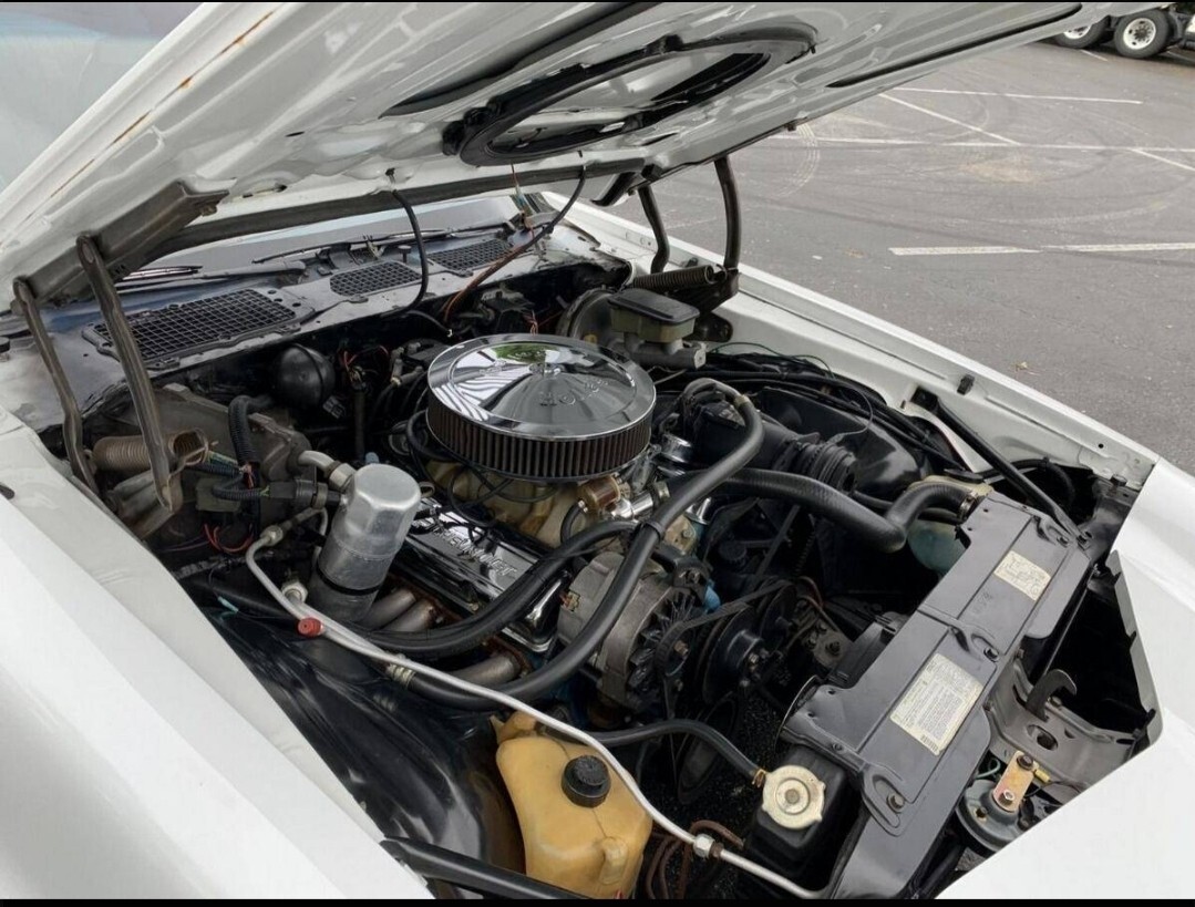 Chevrolet-Camaro-1981-30