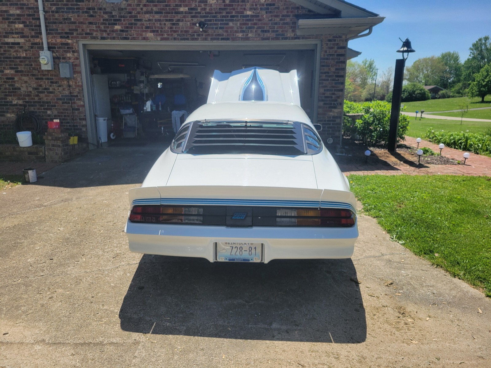Chevrolet-Camaro-1981-5
