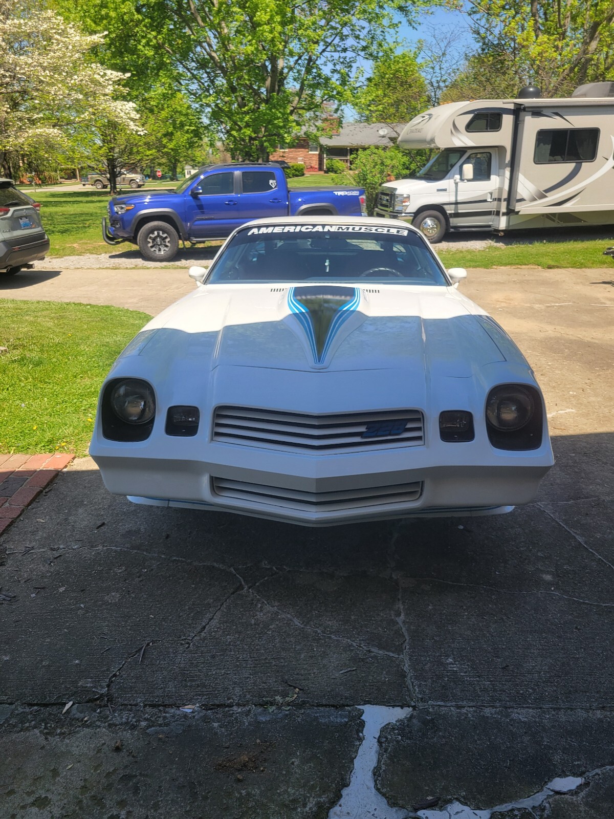 Chevrolet-Camaro-1981-6