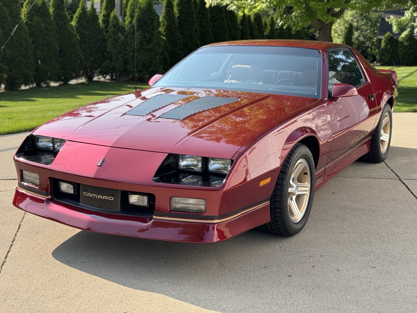 Chevrolet-Camaro-1990-Coupe-9