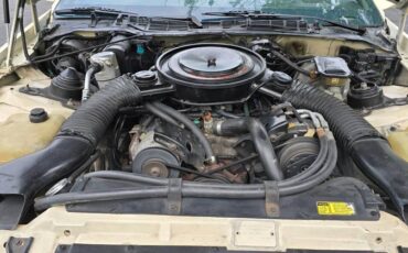 Chevrolet-Camaro-z28-1984-1