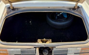 Chevrolet-Camera-1980-white-3