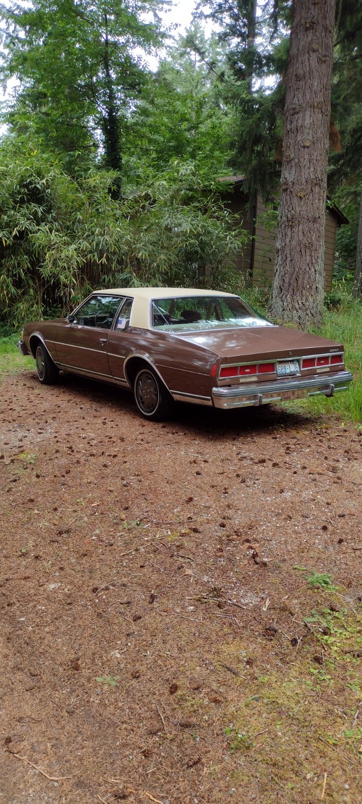 Chevrolet-Caprice-1979-Sedan-1