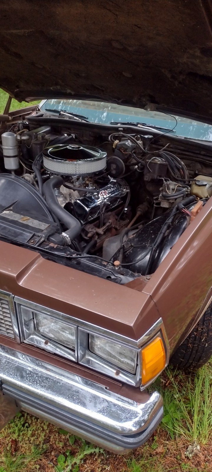 Chevrolet-Caprice-1979-Sedan-2